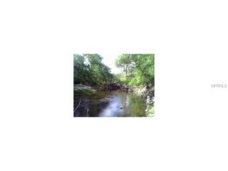 7141 Riverview Dr, Ridge Manor Estates, FL 33597-9602