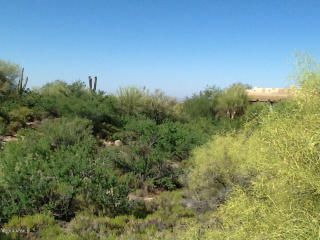 39699 106th Pl, Scottsdale, AZ 85262-3349