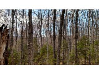 348 Erfreulichblick Cir, Readsboro VT  05352 exterior