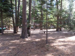 19530 Amador Ave, Pioneer, CA 95666-9406