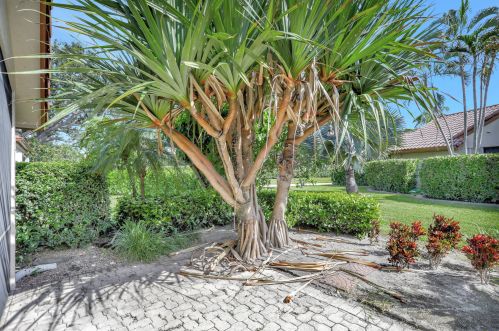 23271 Water Cir, Boca Raton FL  33486-8536 exterior