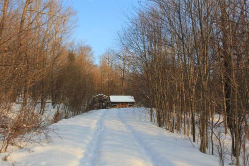 2556 Fish Brook Rd, Walton, NY