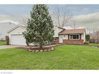 9547 Kickapoo Pass, Streetsboro, OH 44241-5309