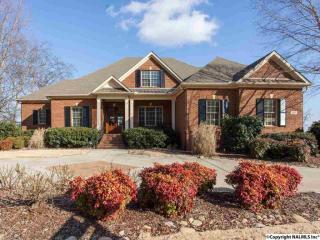 183 Intracoastal Dr, Madison, AL 35758-9425