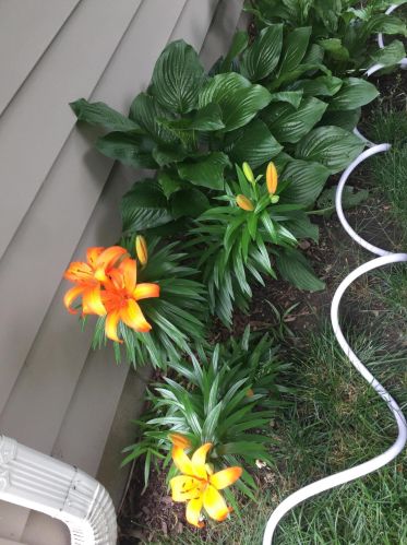 14460 Wilbur Dr, Waukesha WI  53151-5254 exterior