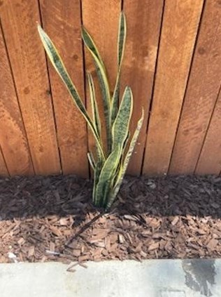 9114 Bright Ave, Whittier CA  90602-3524 exterior