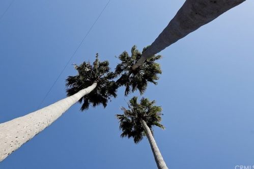 600 Anderson St, Manhattan Beach CA  90266-5934 exterior