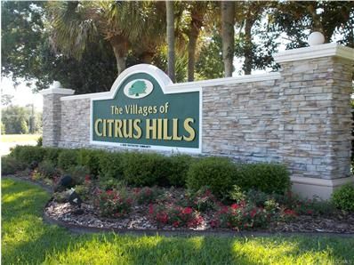 1721 Pearson St, Hernando, FL 34442-3289