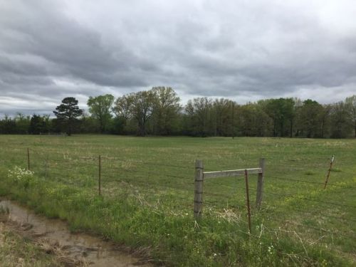 130 John Fowlkes Rd, Hammonsville, AR 72111-9001