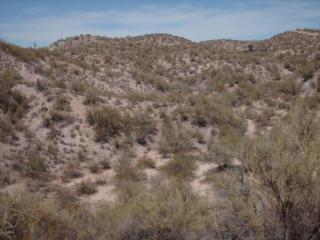30080 Us Highway 60 89, Wickenburg, AZ 85390-1679