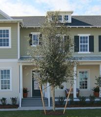1414 Resolute St, Kissimmee, FL 34747