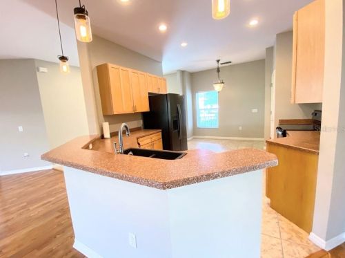 294 Rock Spg Dr, Kissimmee FL 34759-3758 exterior