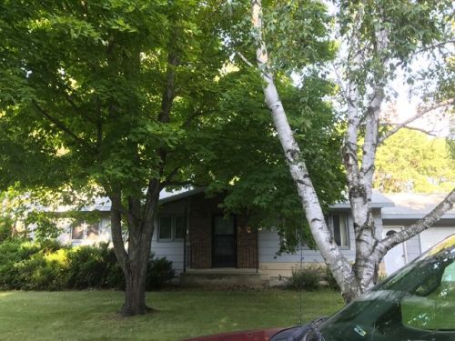 822 10 St, Wadena MN  56482-1017 exterior