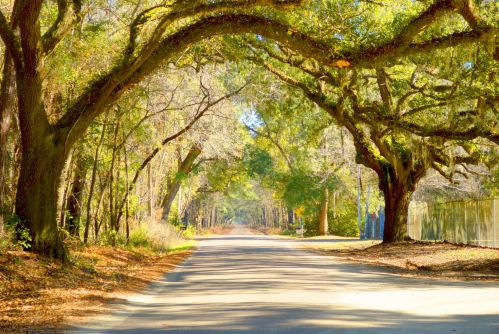 7019 Old Jacksonboro Rd, Ravenel, SC 29470-5574