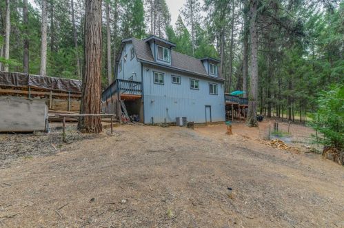 16199 Pioneer Creek Rd, Pioneer CA  95666-9415 exterior