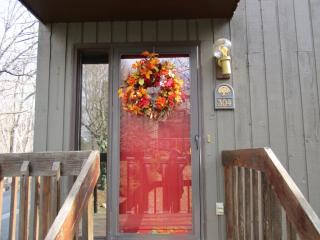 304 Hickory Blf, Johnson City TN  37601-1328 exterior