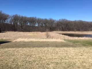 1108 Acorn Way, Minnetrista, MN 55387