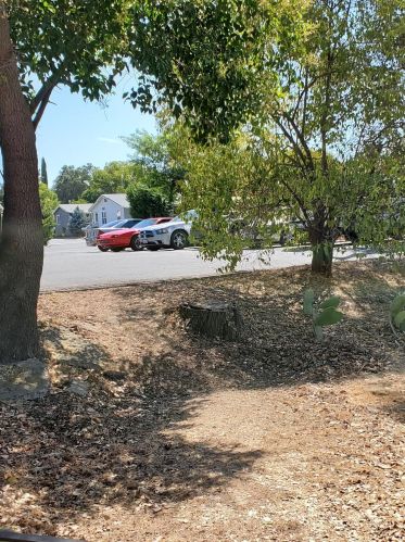 6045 Declaration Cir, Citrus Heights CA  95621-4707 exterior