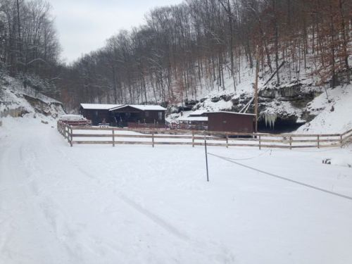 710 Beasley Branch Rd, Ulysses, KY 41264-9104