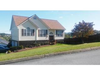 247 Springview Dr, Johnson City, TN 37615-3350