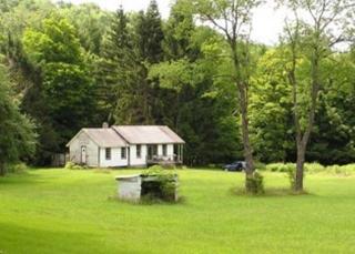 7486 State Highway 268, Hales Eddy, NY 13783-4008