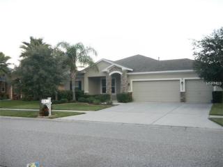12350 Silton Peace Dr, Riverview FL  33579-3935 exterior