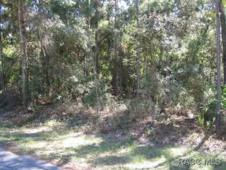 3924 Spaniel Trl, Inverness, FL 34450-7538
