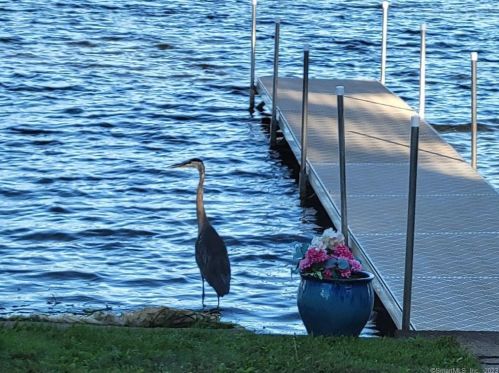 26 Birch St, Waterbury CT  06704-3806 exterior