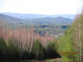 4 Birch Brook Xing, Winchester, NH 03470-5010