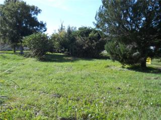 4121 Volusia Dr, Orlando, FL 32822-1914