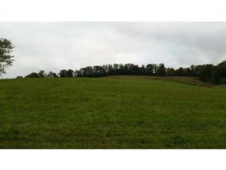 2469 Island Rd, Blountville, TN 37617-4014