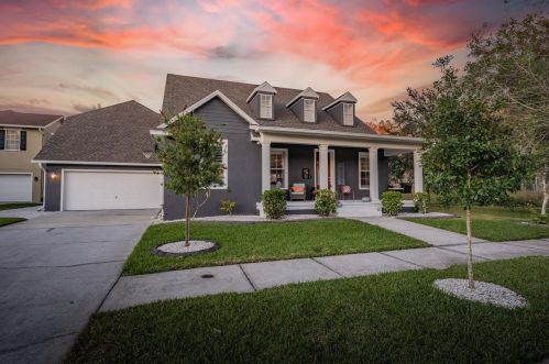 10155 Mizner St, New Port Richey, FL 34655-2072