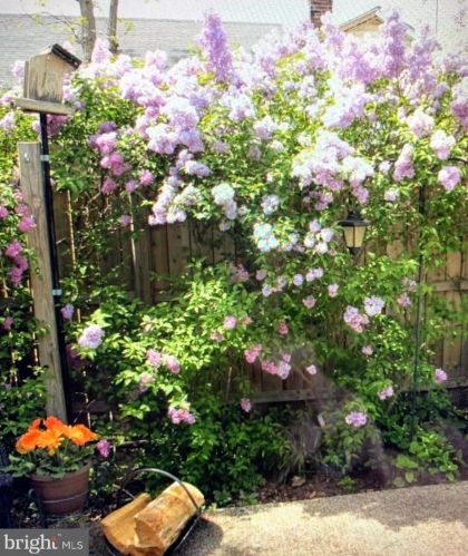 101 Wyoming Ave, Dover DE  19904-6914 exterior