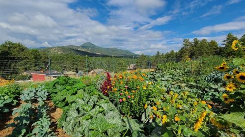 9106 Jennings Rd, Morrison, CO 80465-9571