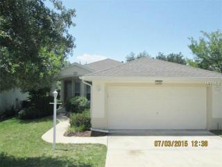 3298 Baltic Sea Blvd, Tavares, FL 32778-9128