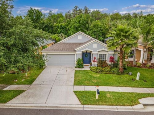 4337 Marchmont Blvd, Land O Lakes, FL 34638-7763