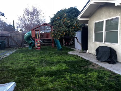 203 Locust Ave, Manteca CA  95337-5451 exterior