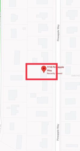 1118 Pineapple Way, Kissimmee, FL 34741-6705