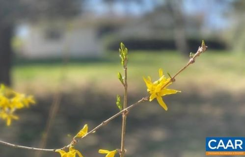 697 Greene Acres Rd, Stanardsville VA  22973-2521 exterior