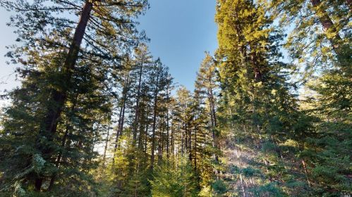 34900 Tock Ln, The Sea Ranch CA  95445-8567 exterior