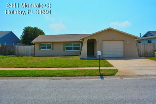 2441 Mondale Ct, Tarpon Springs, FL 34691-3159