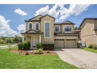 10001 Silver Laurel Way, Orlando, FL 32832-5841