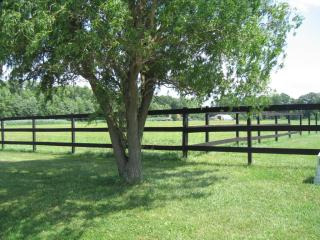 480 Spectrum Farms Rd, Felton, DE 19943-3368