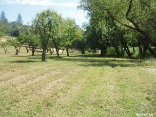 13205 Fiddletown Rd, Plymouth, CA 95669-9751