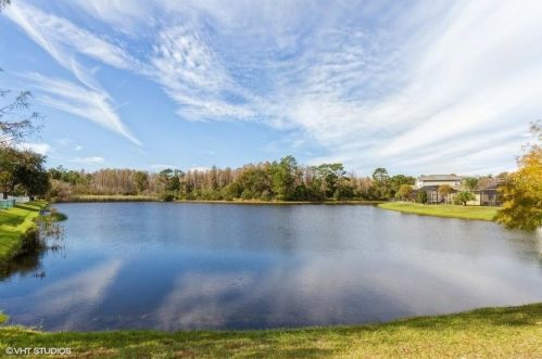 10602 Burning Bush Ter, Land O Lakes, FL 34638-6929