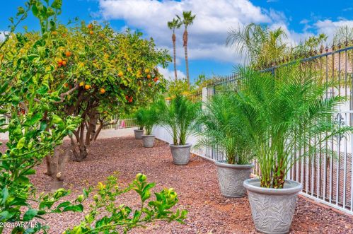 22033 Golf Club Dr, Sun City AZ 85375-2078 exterior