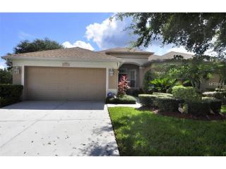 19830 Morden Blush Dr, Lutz, FL 33558-9093