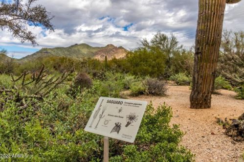 6164 Amber Sun Dr, Scottsdale AZ 85266-7035 exterior