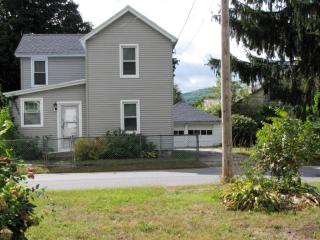 11 Liberty St, Palmer, NY 12822-1002