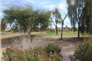 1027 Arroya, Mesa, AZ 85205-5448